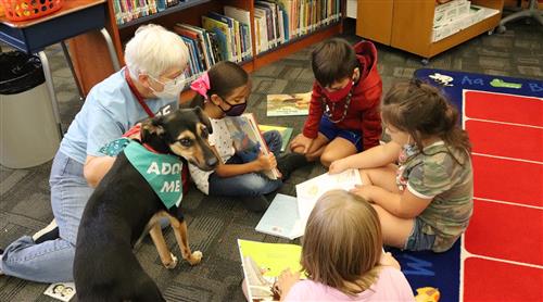 Dog with students